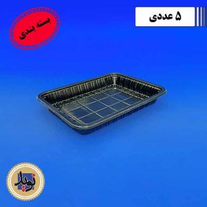 ظرف 301-بسته بندی سپهر